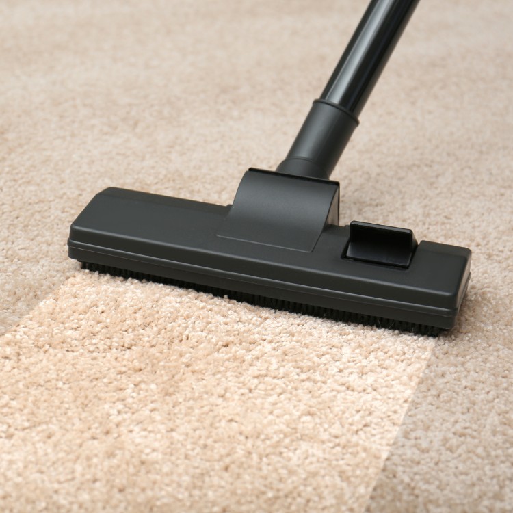 Carpet and Tile Cleaning in South Weber, UT